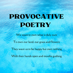 Provocative Poetry collection image