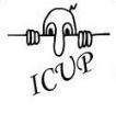 iCUP33