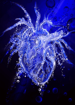 Water Heart collection image