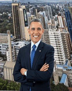 The Obama Digital Trading Cards collection image