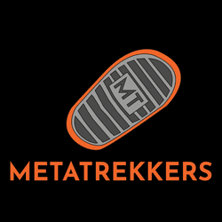 MetaTrekkers BeatTrekkers Certficates collection image