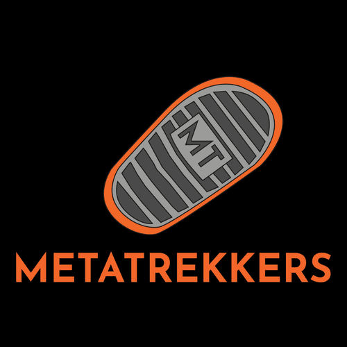 MetaTrekkers BeatTrekkers Certficates