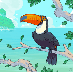 Government Toucans collection image