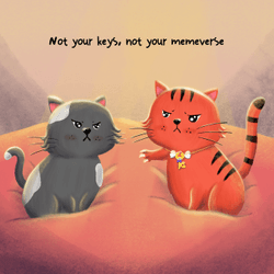 Not your keys not your memeverse 👀 collection image