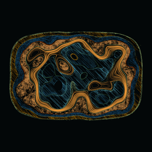 p5 js experimental generation 007