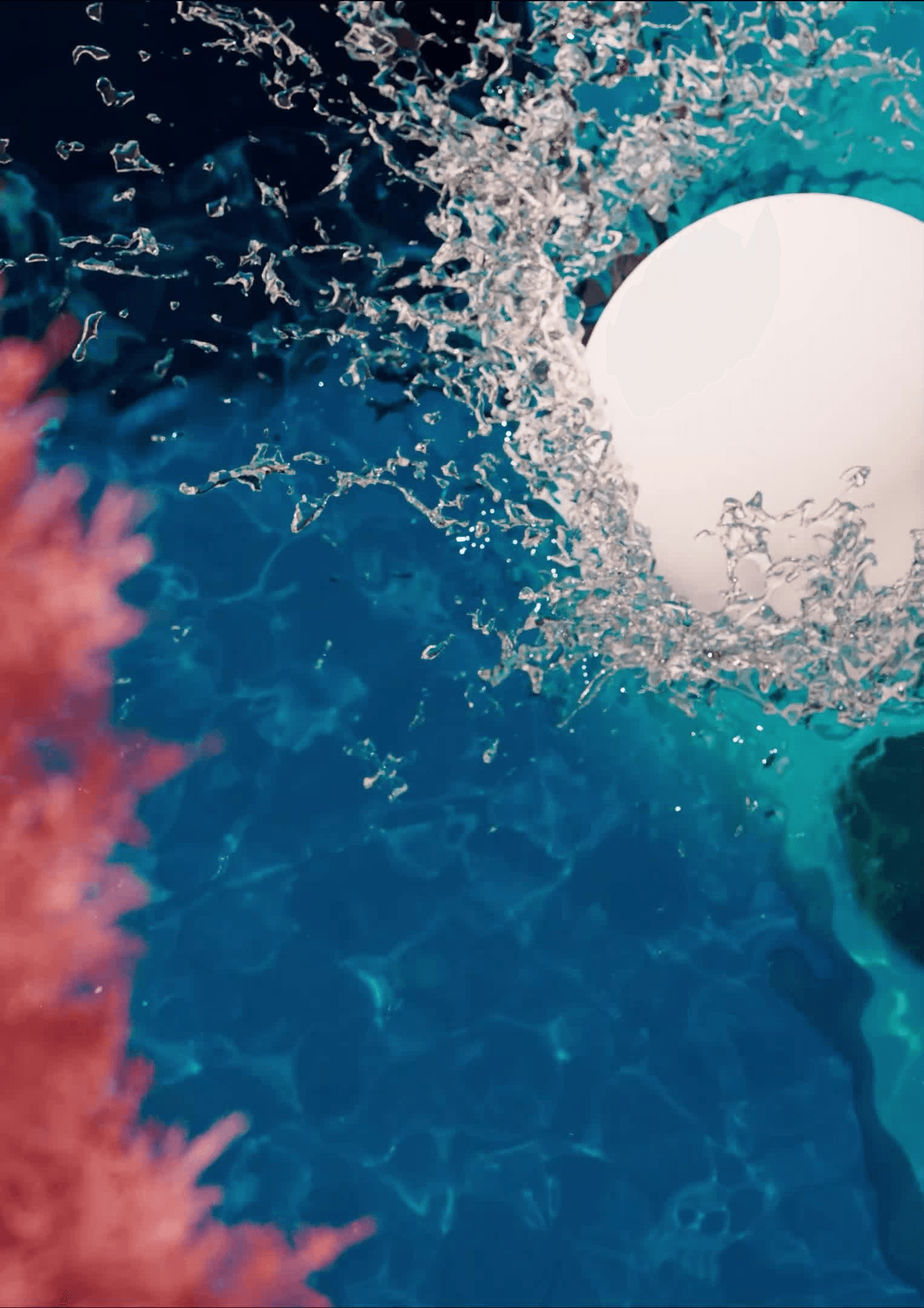 The Splash #1/20