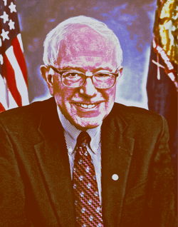 Bernie's NFT collection image