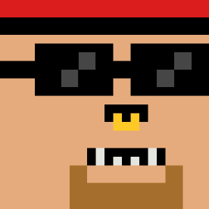 Zoom Punks