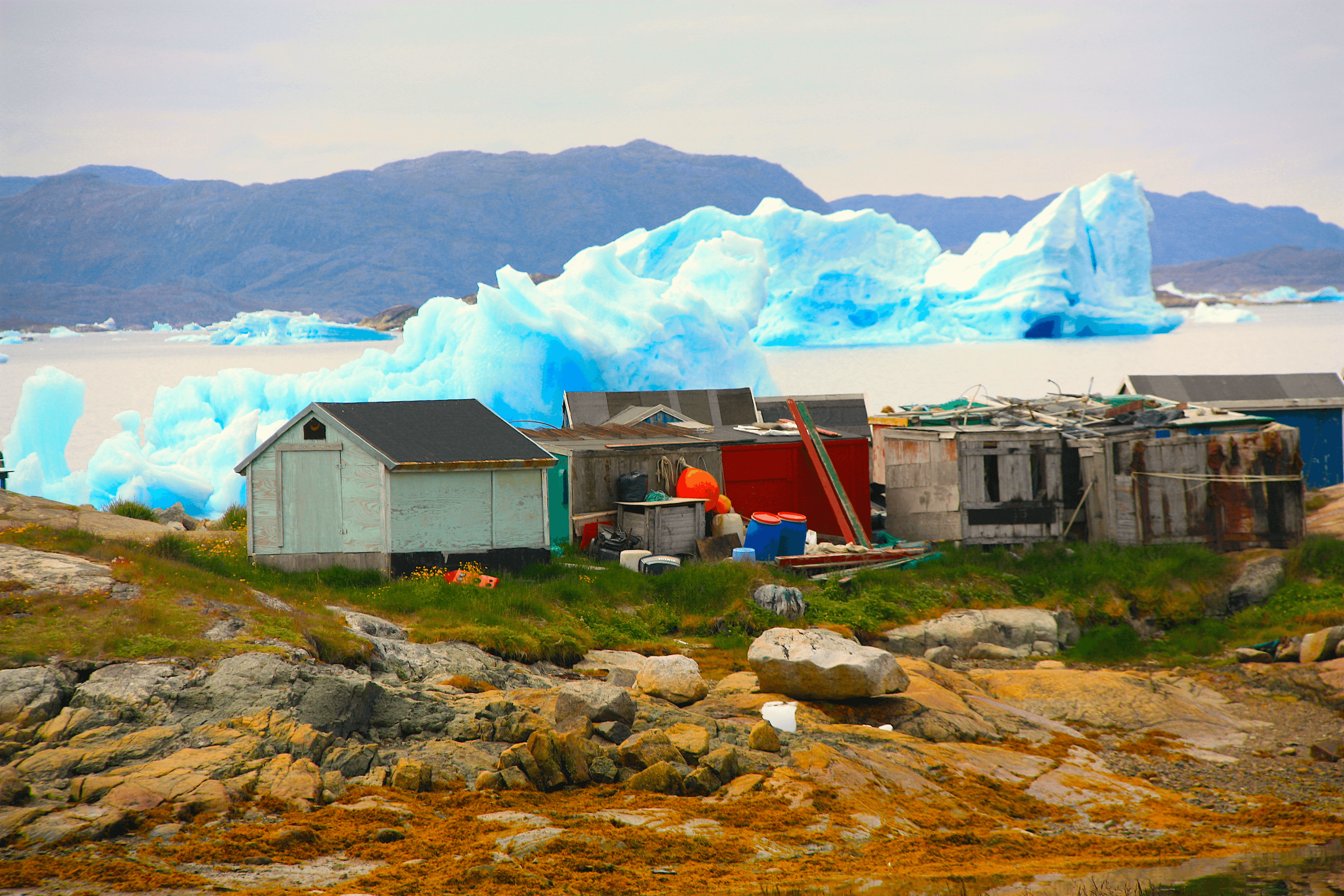 Greenlandic fisherman's daily sight.