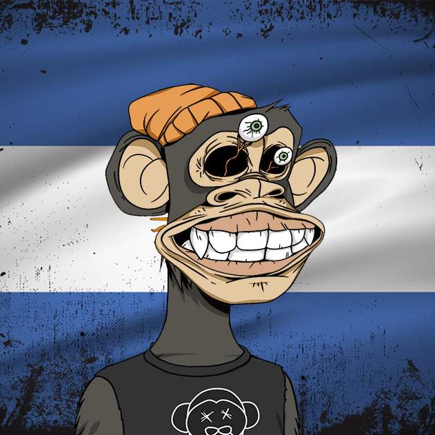 Bored Ape Argentina Club #17