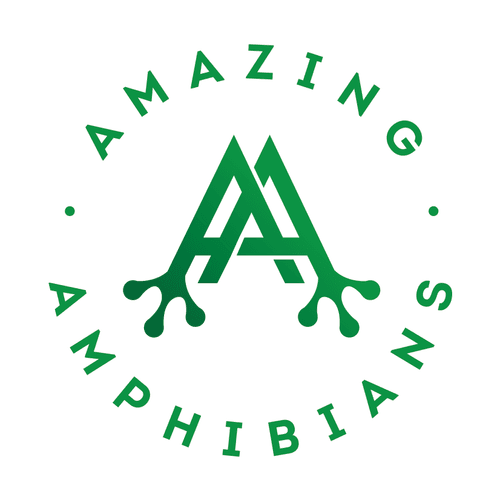 Amazing Amphibians Frogs