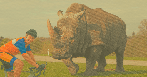 Rhinoceros