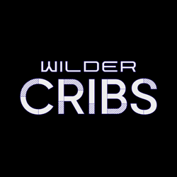 Wilder Cribs Genesis