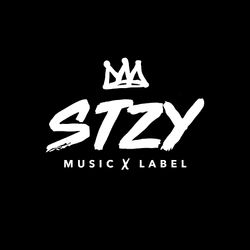 STZY RECORDS collection image