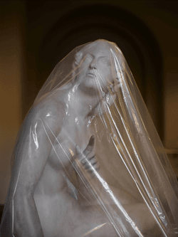 Shrouded Sculptures by Simon Roberts collection image
