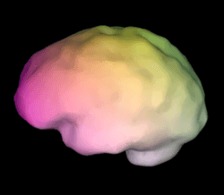 Spectral Brains collection image