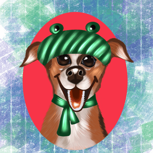 The adventure of a dog named Chapa