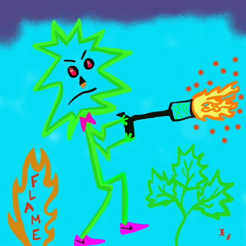 Cilantro Flame