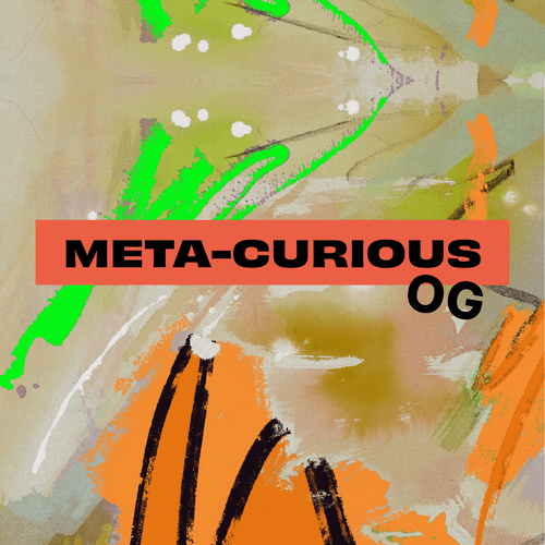 Meta-Curious Community