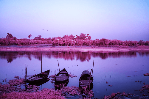 A Sacred Oasis on the Jalangi River