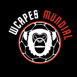 WCAPES Mundial collection image