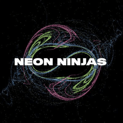 NeonNinjasNFT collection image