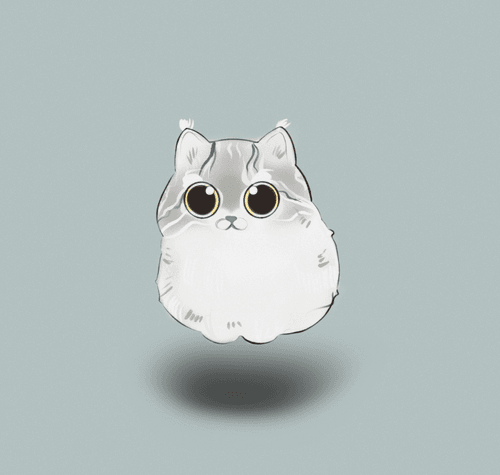 Cats Cavalli
