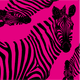 Papercutting Zebra - 100 Colors