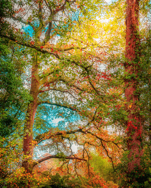 James Truett Art