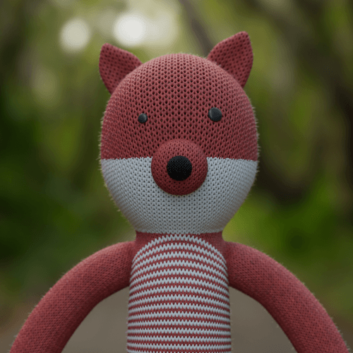 Dion's Red Fox - Cancer Fundraising
