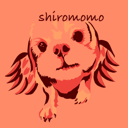 shiromomo-earth world collection image