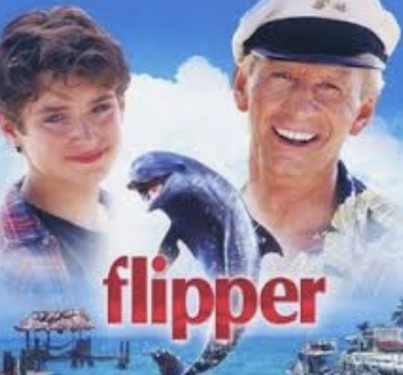 Flipper001