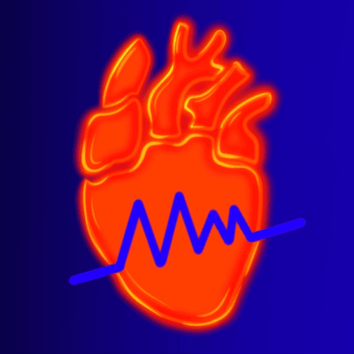 Twelve Hearts
