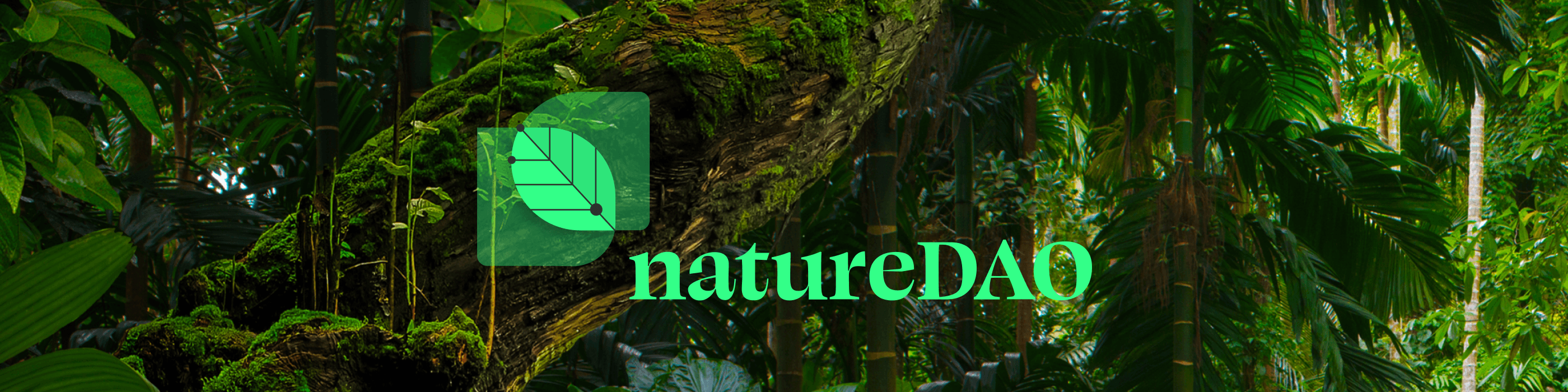 Nature-DAO banner