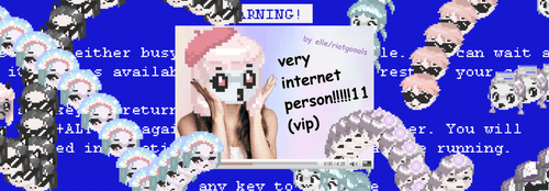 Very Internet Person