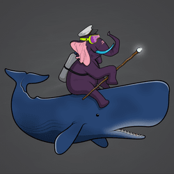 Ocean Racer #10304