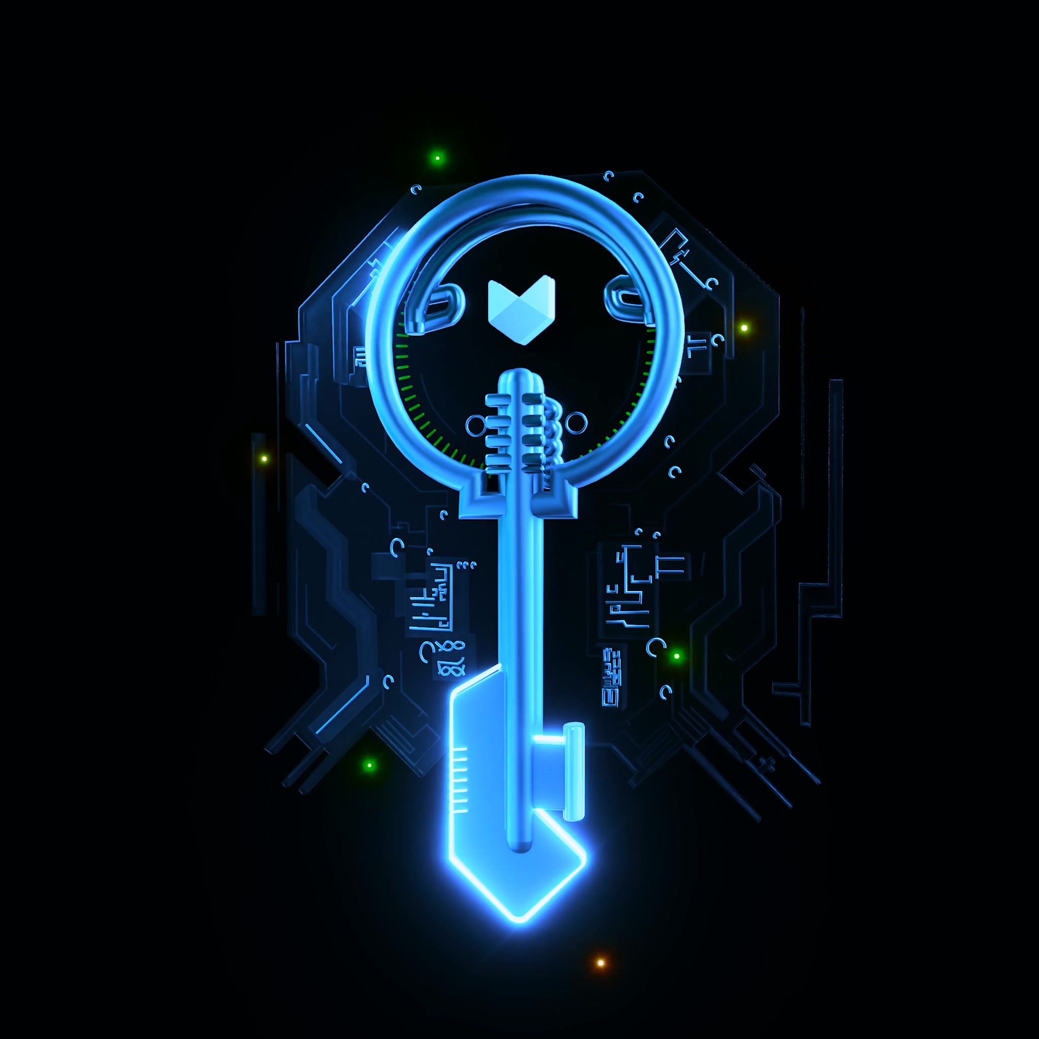 ApeChain Key #1241