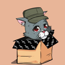 Kitten #331