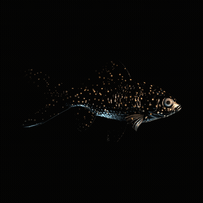 CryptoFish #5056