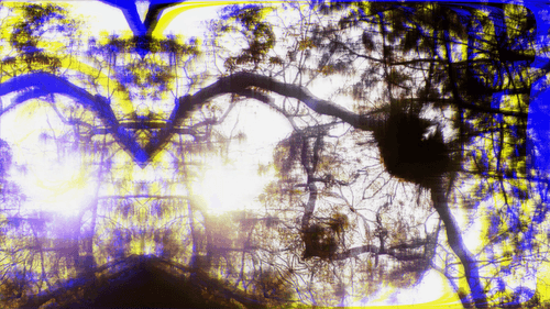 From the Surreal Psyche