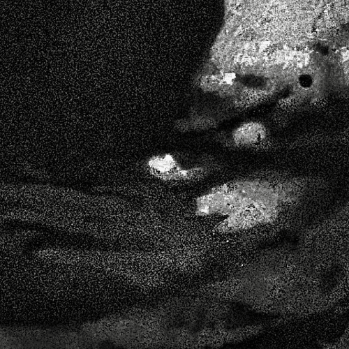 Fragments of Forgotten