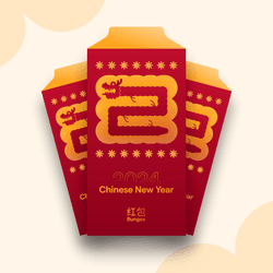Bungee CNY Red Packet Drop 🧧 collection image