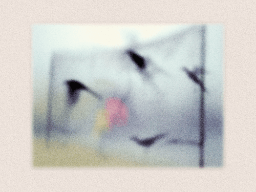 Diary