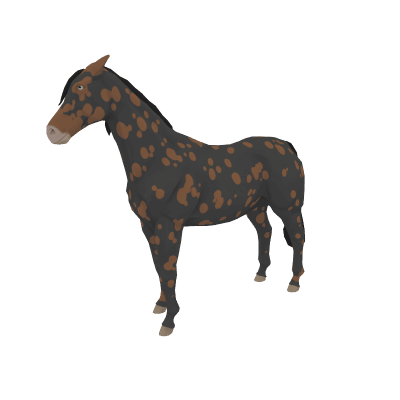 Calculating - zkRace Horses | OpenSea