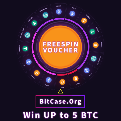 BitCase FREESPIN