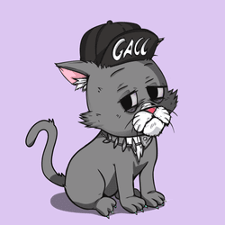 Kitten #533