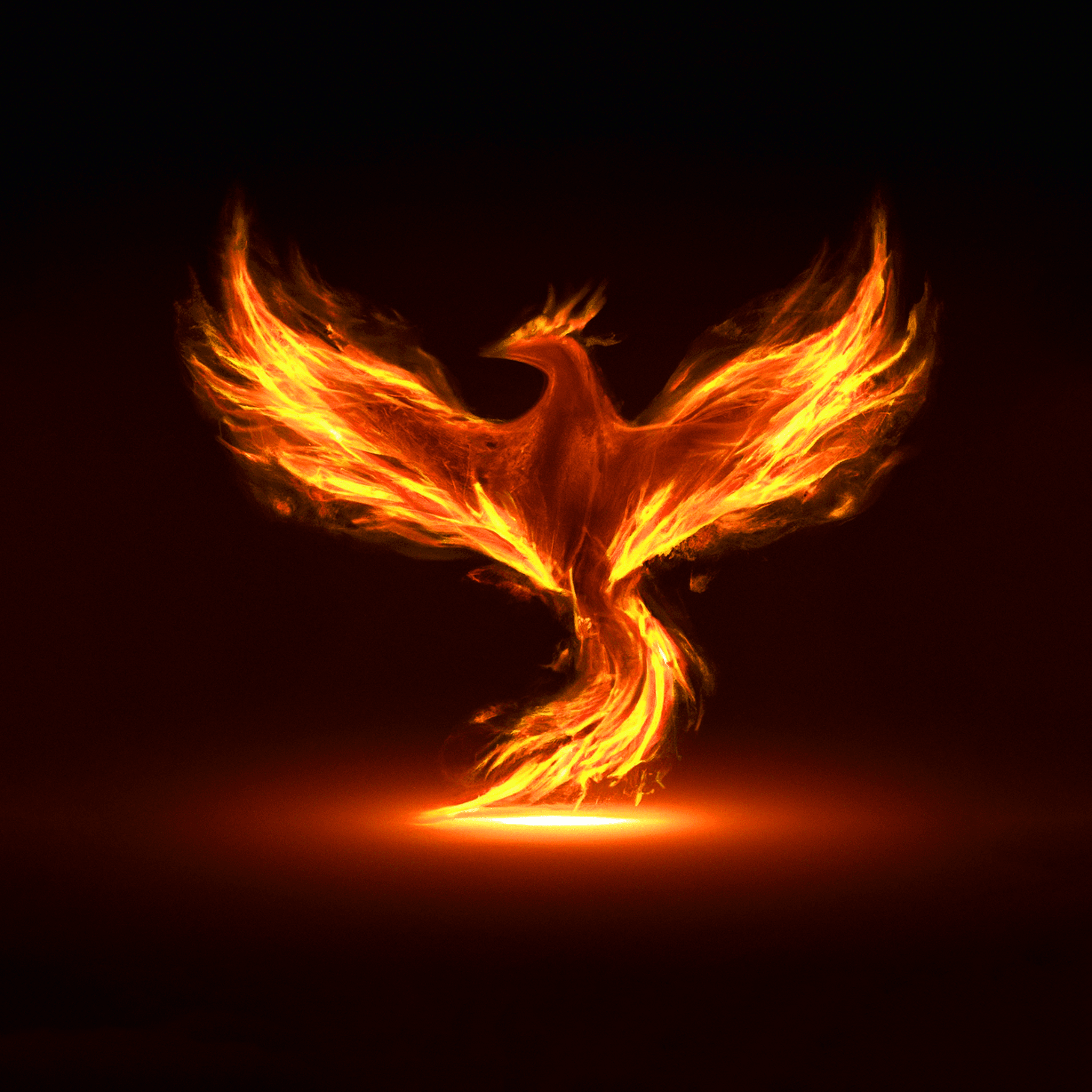 Rebirth's Light.  Fiery Phoenix.