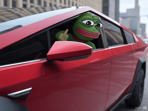 Cybertruck PEPE FU