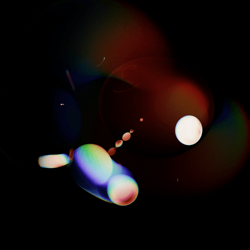 Observation & Interaction 3