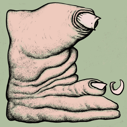 Hands & small birds